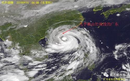 最新台风爆料消息新闻